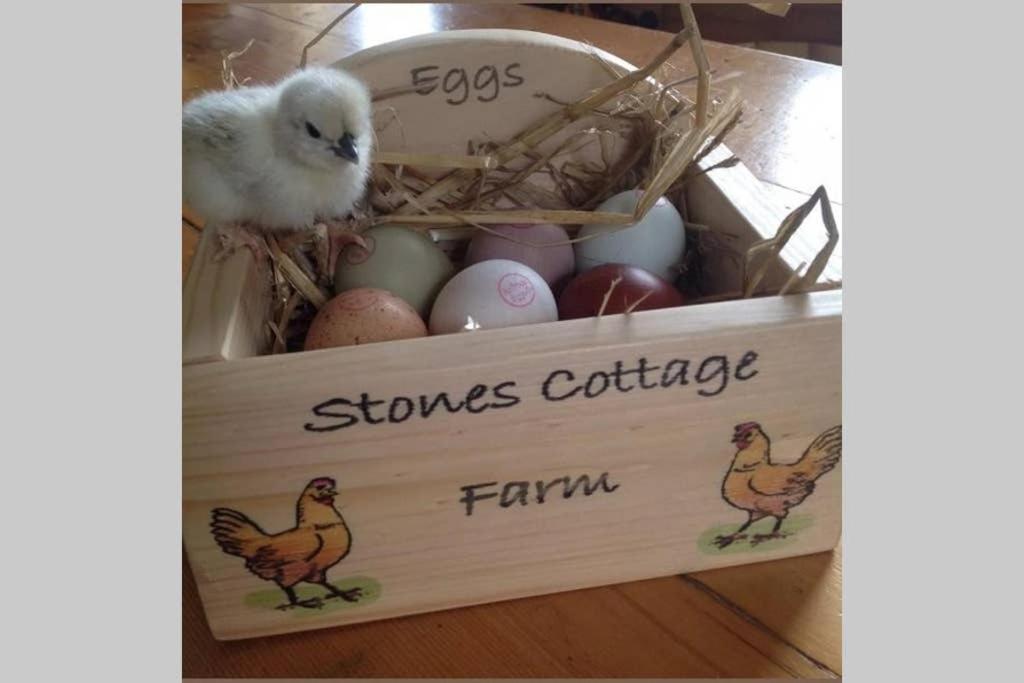 Stones Cottage Farm, Nr Haworth, Family Friendly, Work Friendly, Gaming Barn, Crafting, Free Wifi, Free Parking, Ev Point Oxenhope Ngoại thất bức ảnh